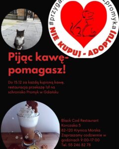 Read more about the article Prezent na święta dla zwierząt – Restauracja