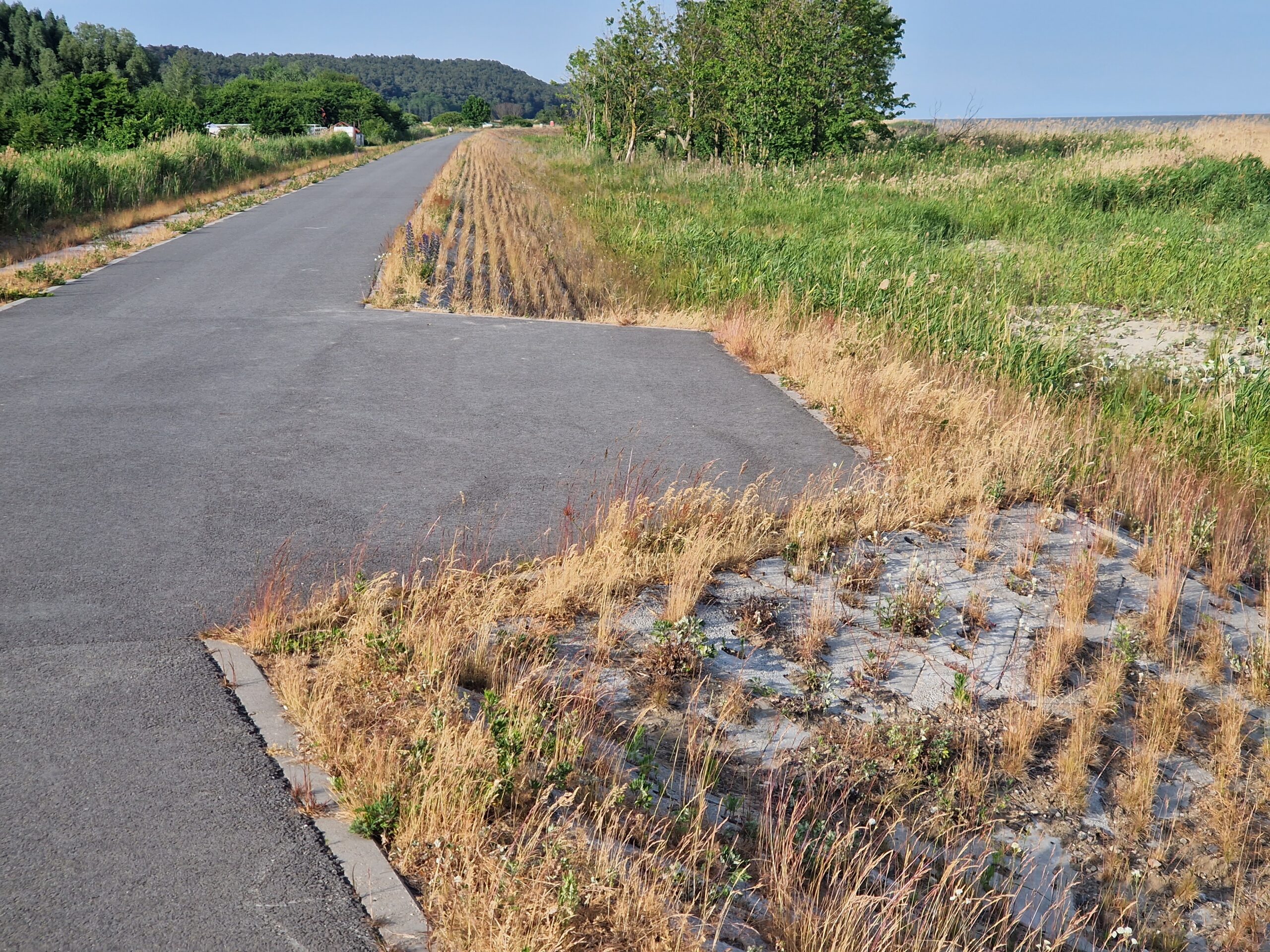 Promenada spacerowa